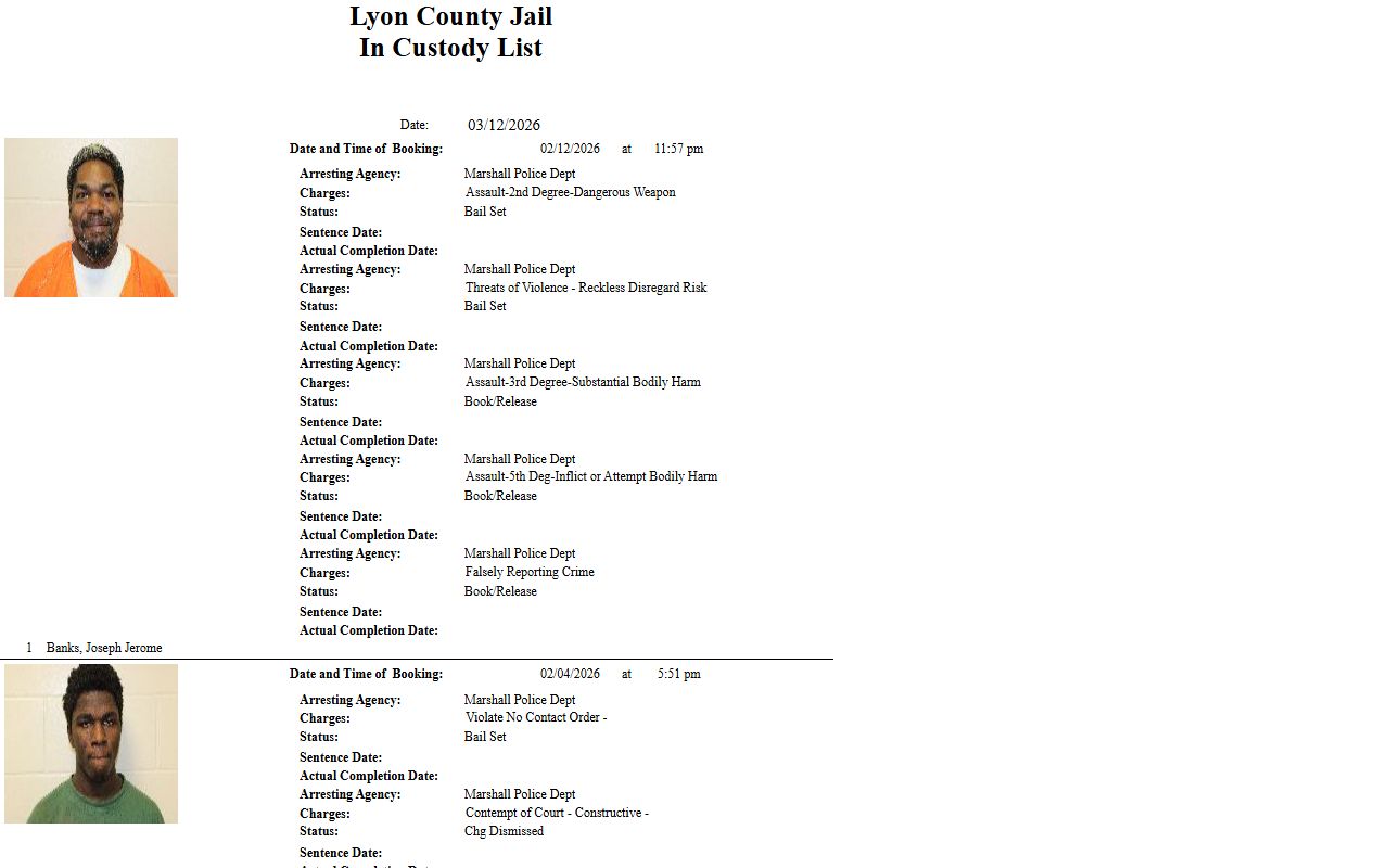 Lyon County custody list 72 hour booking records