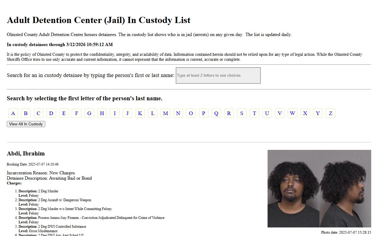 Olmsted County detainee list 72 hour booking