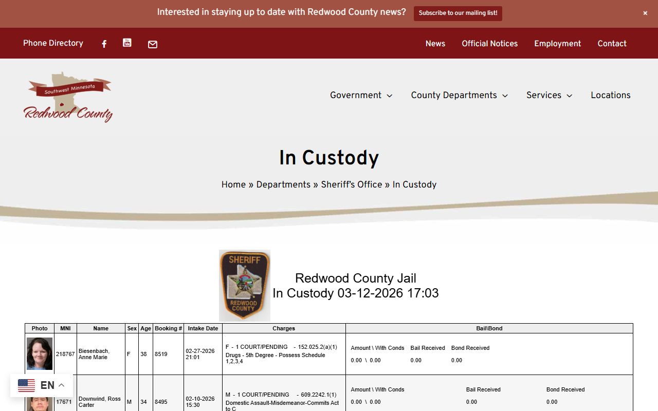 Redwood County 72 hour booking in custody list
